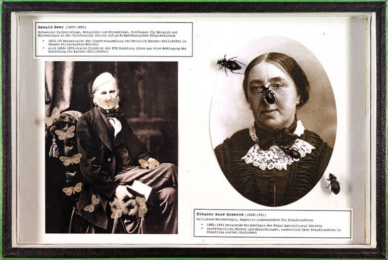 Teresa Chen: Cabinet of Curiosities