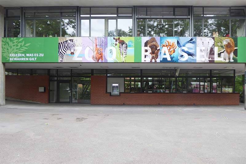 Zoo Basel – Chromaluxe