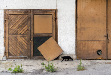 Reto Schlatter: Herblingen im Allgemeinen und Heimat im Besonderen