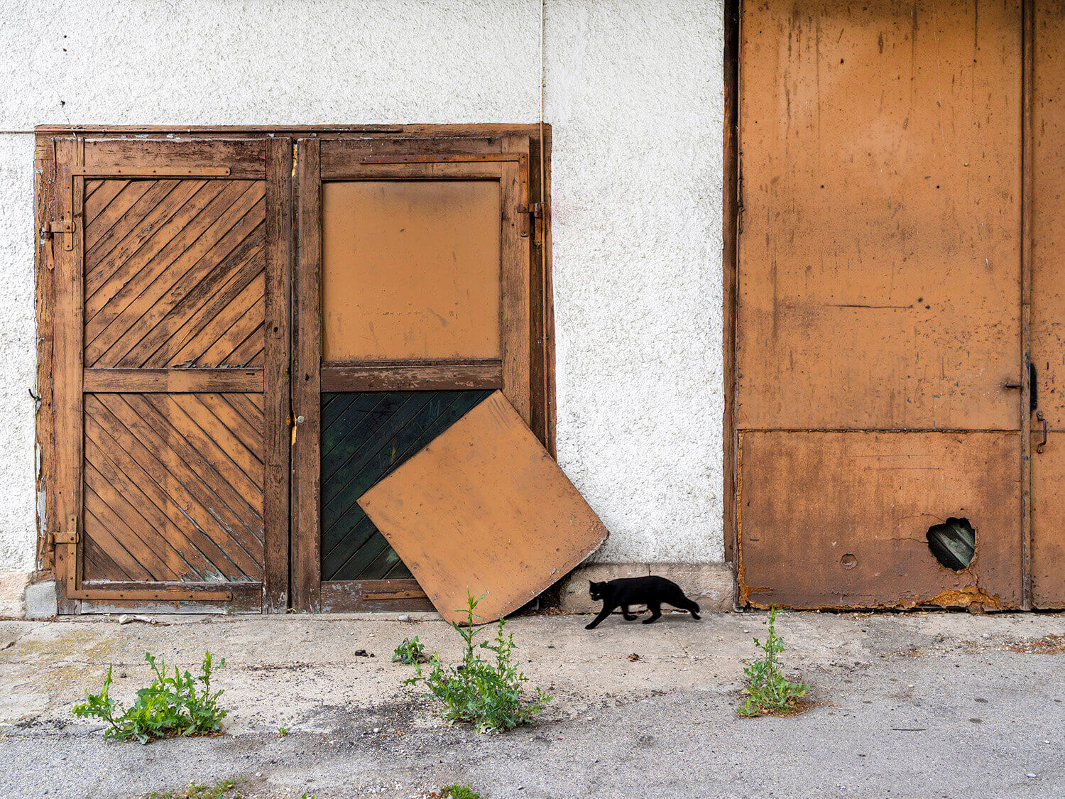 Reto Schlatter: Herblingen im Allgemeinen und Heimat im Besonderen