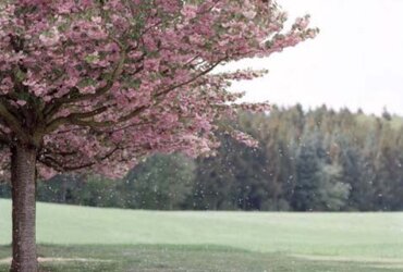 Gian Capaul – Analogfotografie