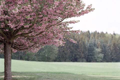 Gian Capaul – Analogfotografie