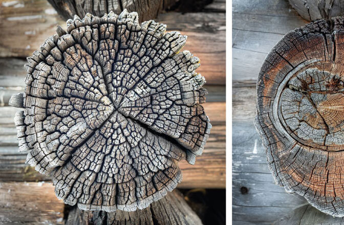 Andreas Urscheler: Woodcuts