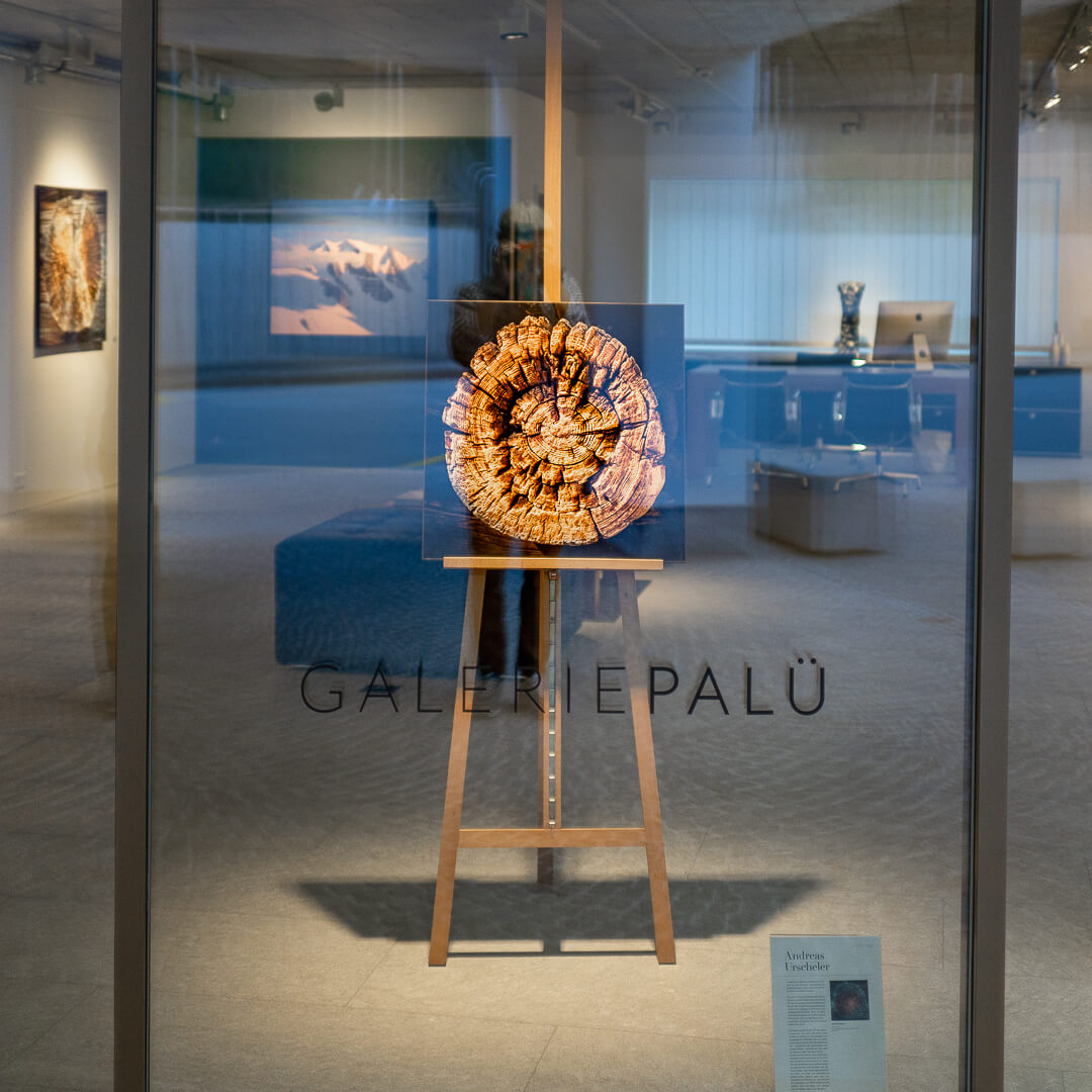 Andreas Urscheler: Woodcuts @ Galerie Palü