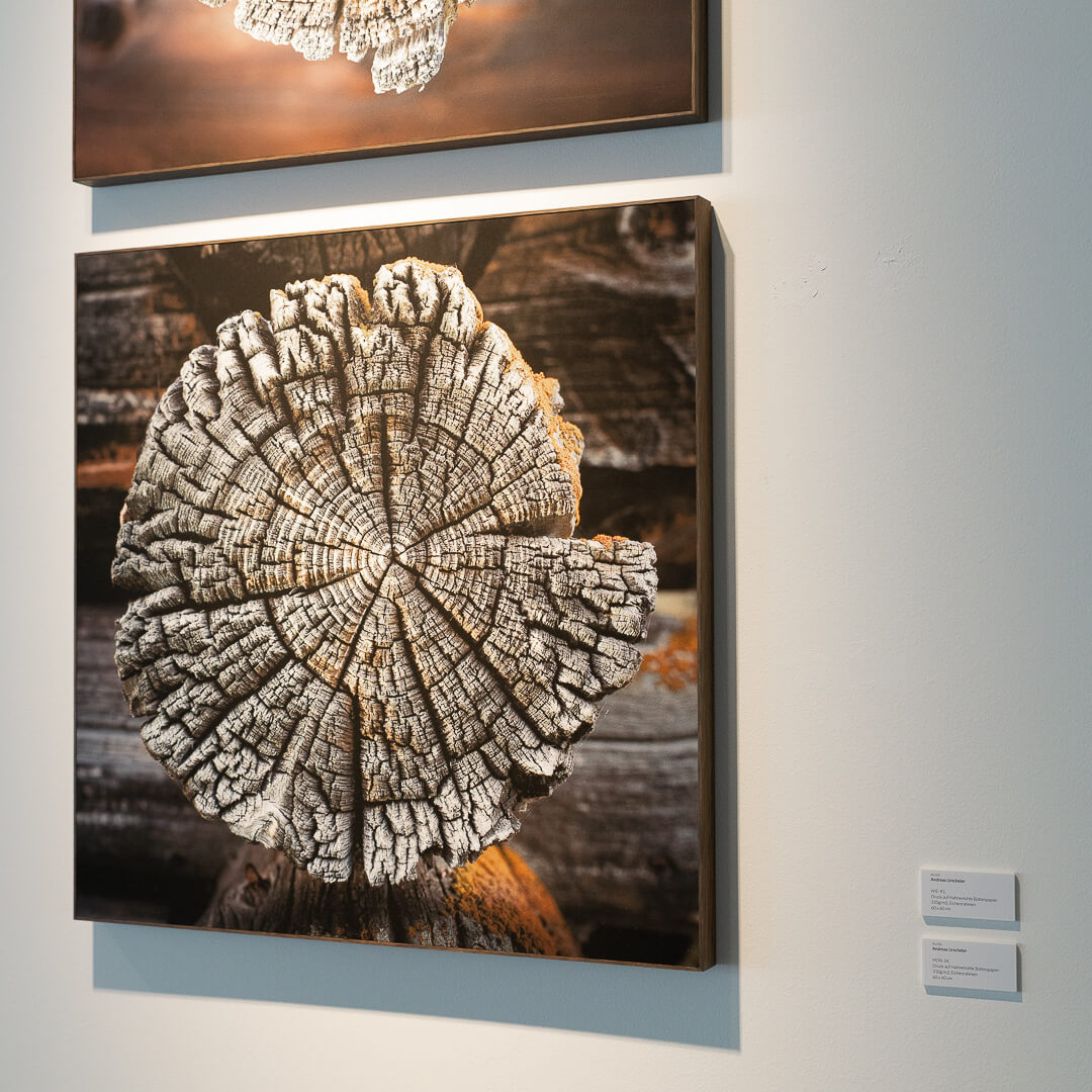 Andreas Urscheler: Woodcuts @ Galerie Palü