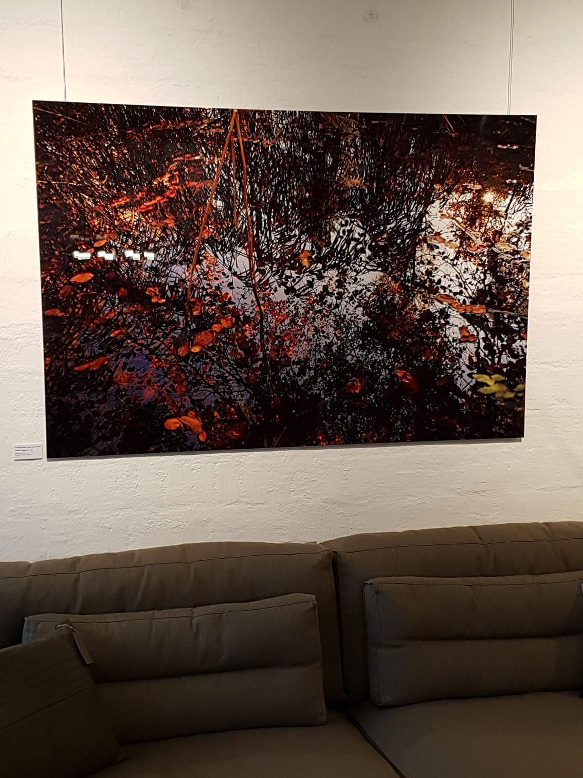 Vaughan James: «Water the Essential»