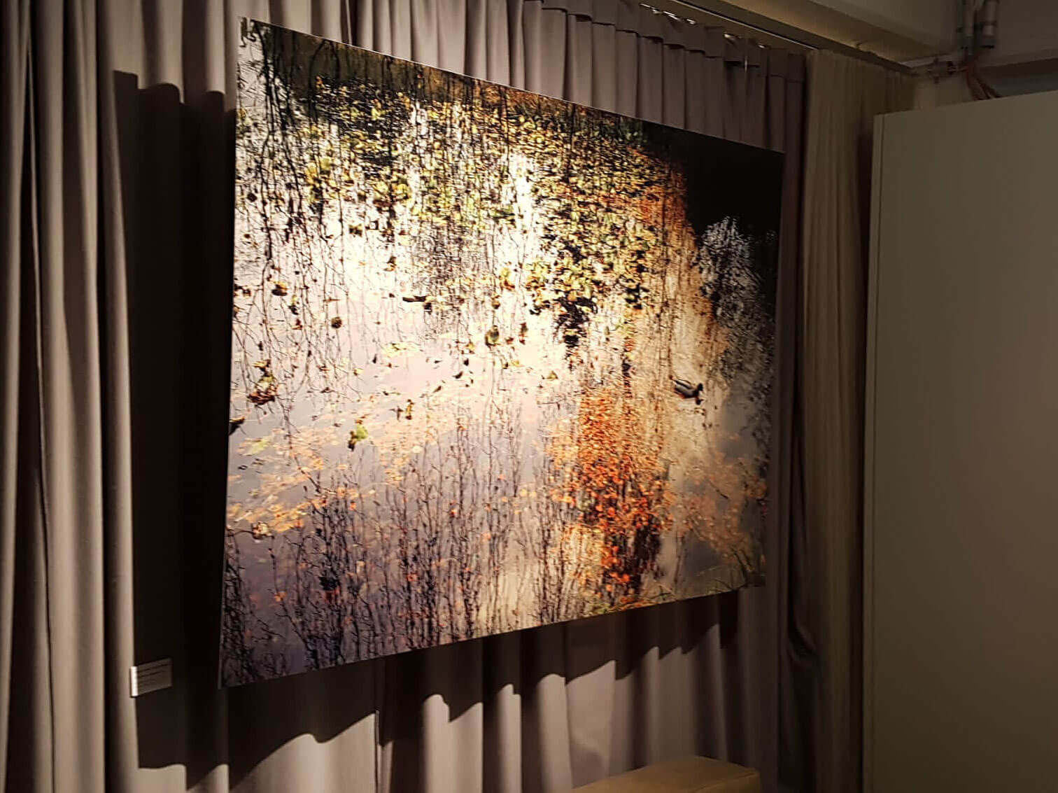 Vaughan James: «Water the Essential»