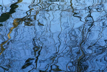 Vaughan James: «Water the Essential» @ Selection by ArchStudio