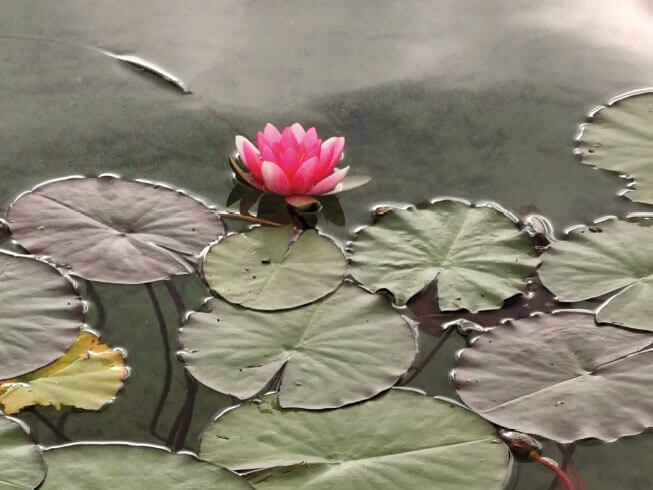 The World through our Eyes – Die Welt in unseren Augen