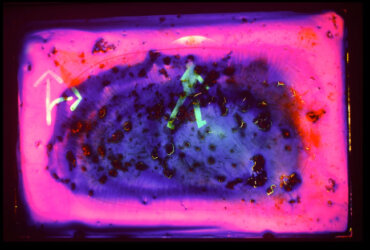 Roger Nufer: Alchimie