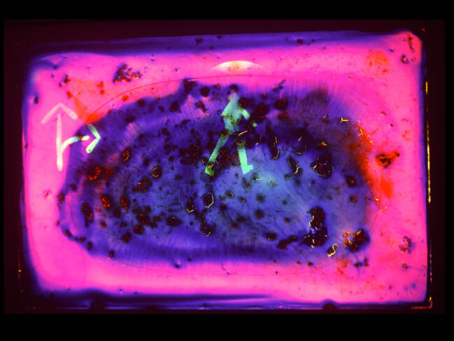 Roger Nufer: Alchimie