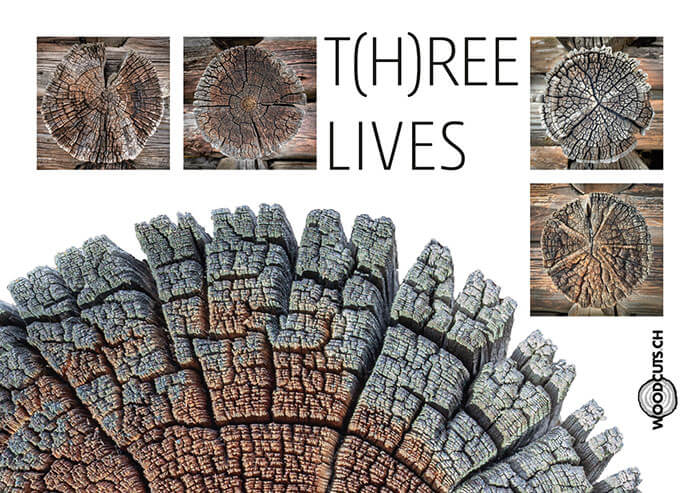 woodcuts.ch: T(h)ree Lives in der cube media AG