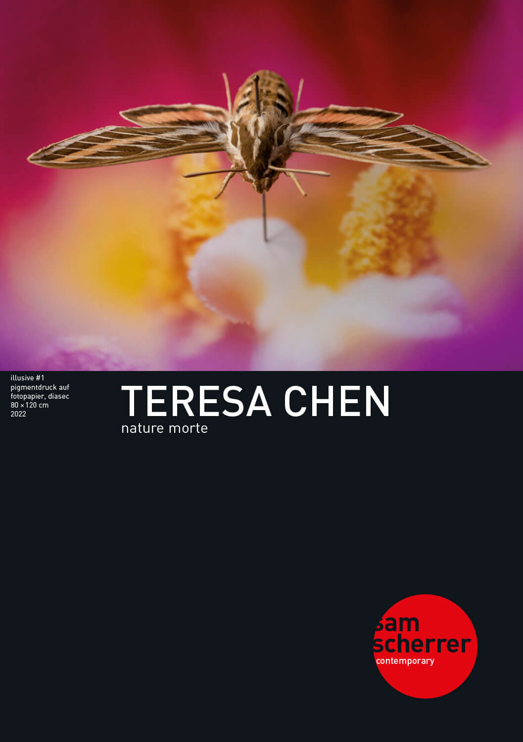 Teresa Chen: Nature Morte