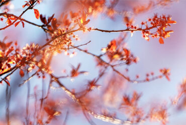 Nils Mehr Fotografie in der Galerie am Lindenhof