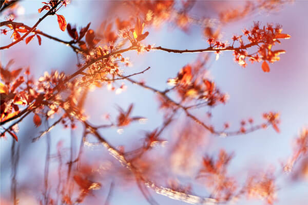 Nils Mehr Fotografie in der Galerie am Lindenhof