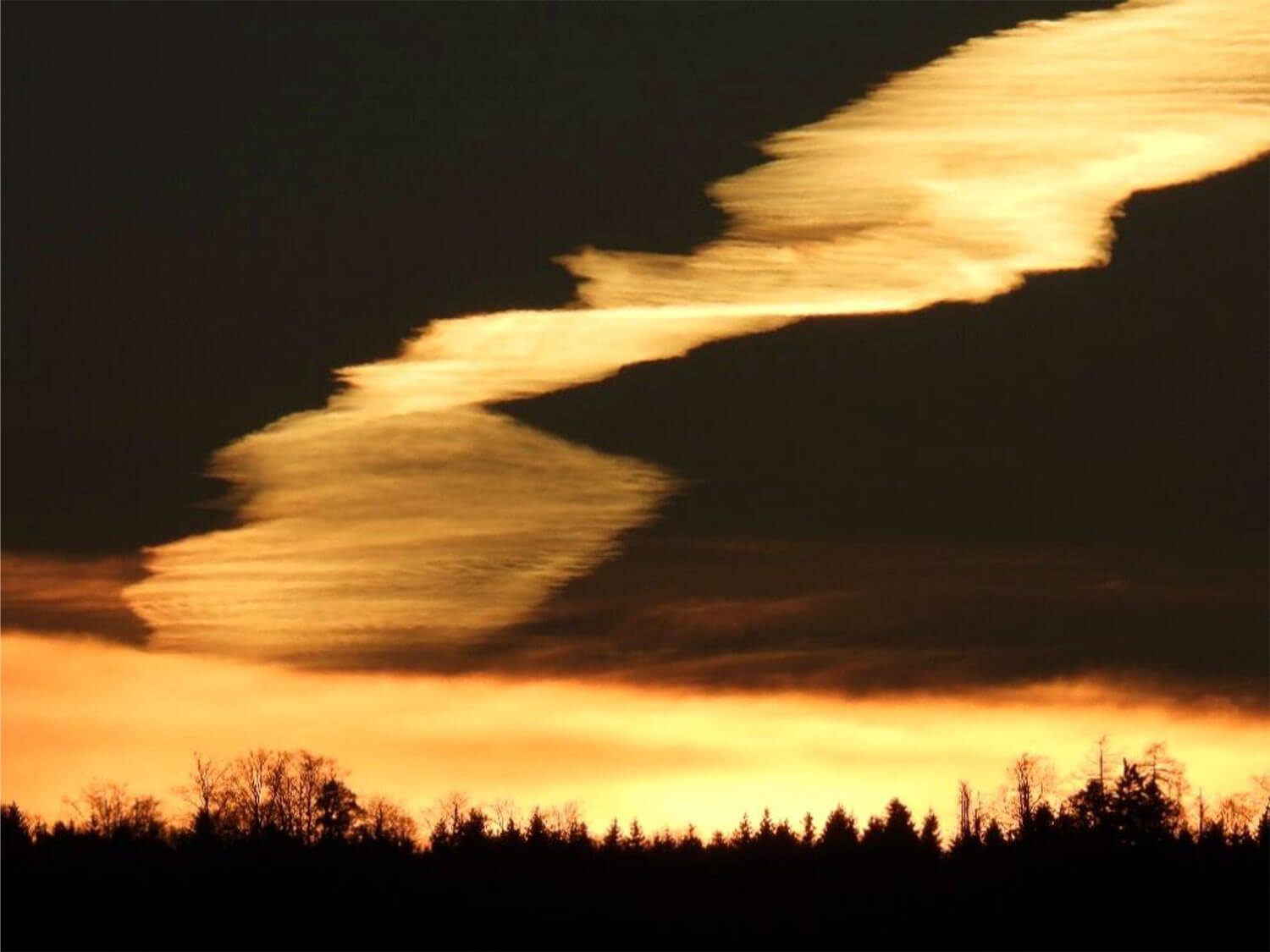 rene stamm goettliche schoepfung 1