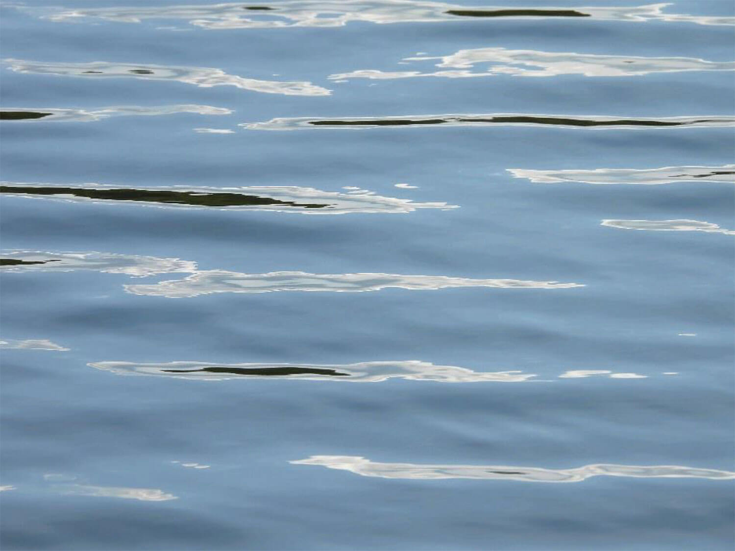 rene stamm goettliche schoepfung 2