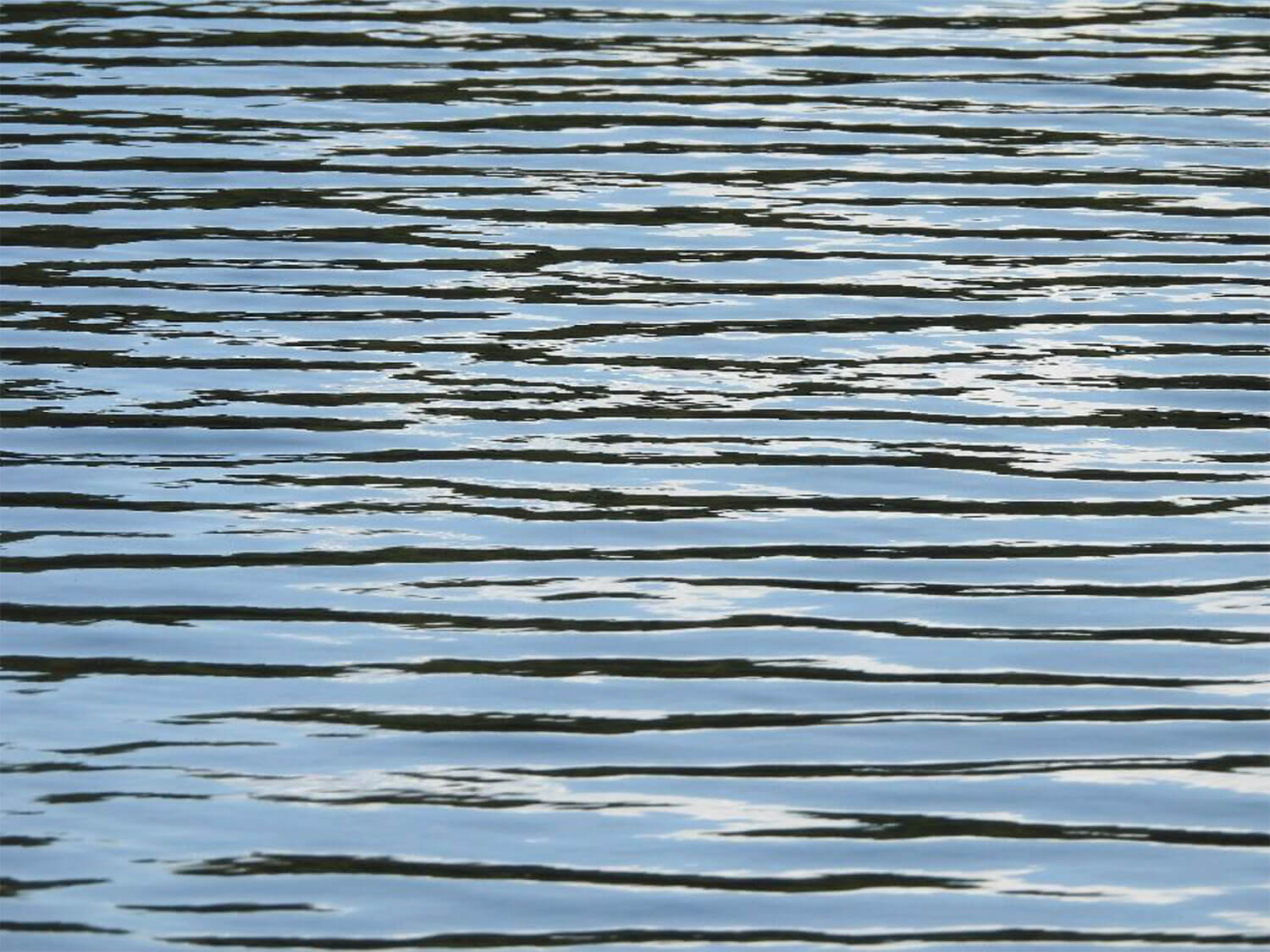 rene stamm goettliche schoepfung 3