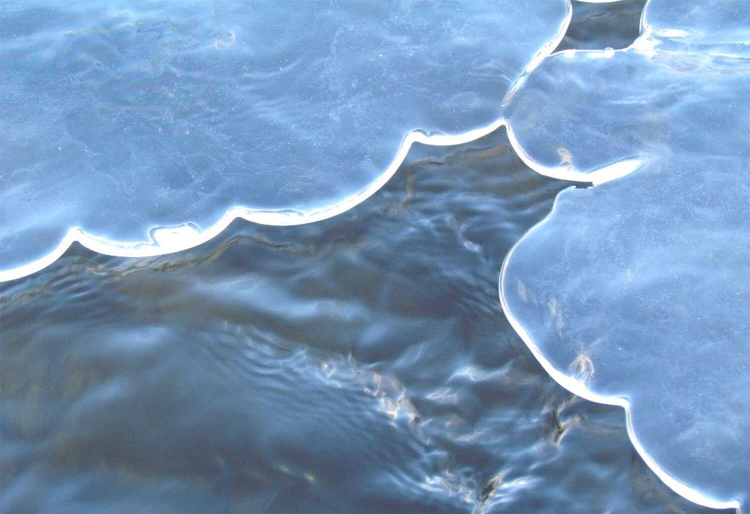 rene stamm goettliche schoepfung 5