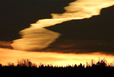 René Stamm: Verborgene Schönheiten der GÖTTLICHEN Schöpfung
