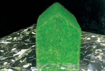 Teres Wydler: Nature in Transit