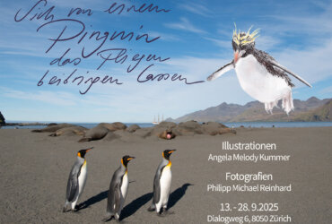 Ausstellung – SICH VON EINEM PINGUIN DAS FLIEGEN BEIBRINGEN LASSEN – Philipp Reinhard