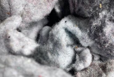 Elke Neumann – sammeln falten mischen